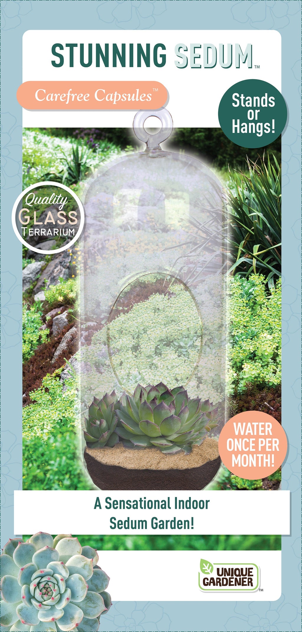 Stunning Sedum Glass Terrarium Seed Starting Kit — product image 1