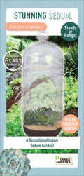 Stunning Sedum Glass Terrarium Seed Starting Kit — product image 1