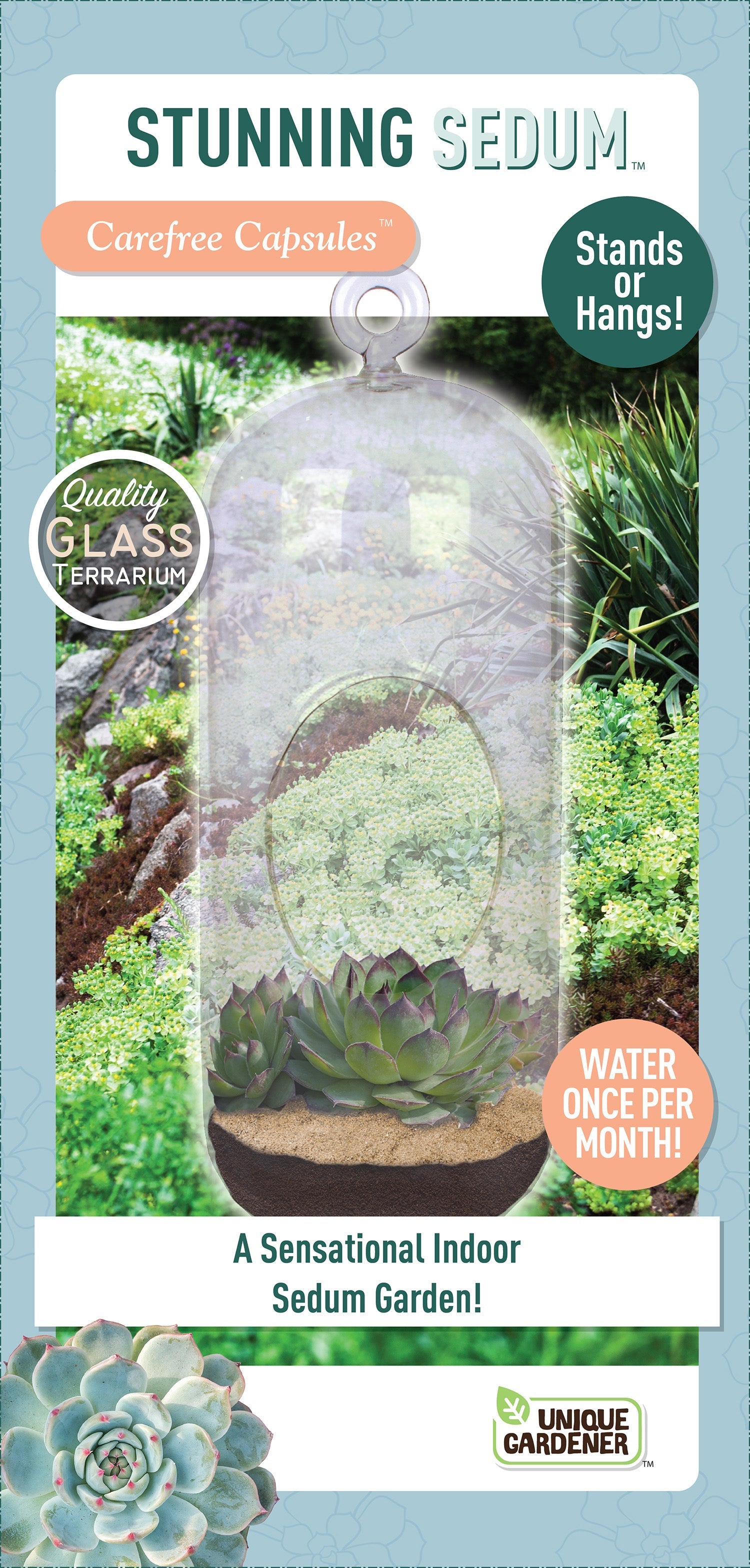 Stunning Sedum Glass Terrarium Seed Starting Kit — product image 1