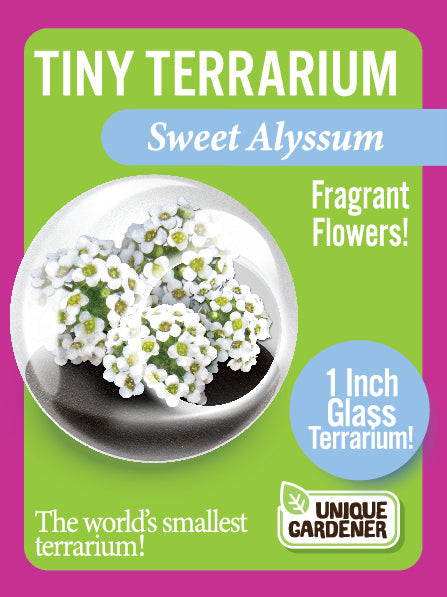 Flowering Tiny Terrariums Bundle - 1 each of 6 Varieties — product image 8