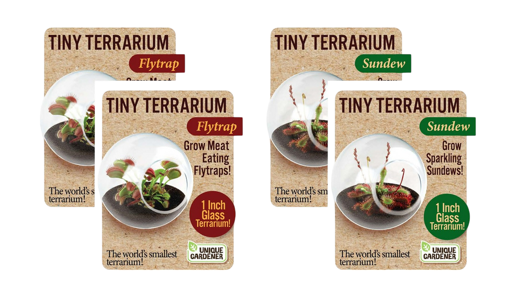 Carnivorous Tiny Terrariums Bundle - 2 each of 2 Varieties — product image 1