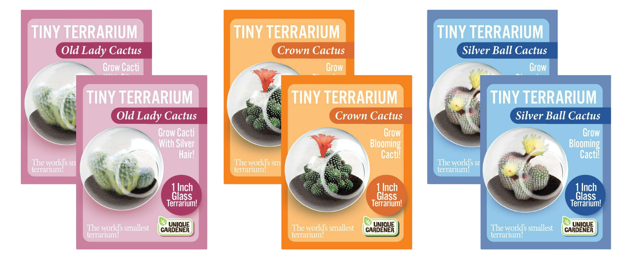 Flowering Cacti Tiny Terrariums Bundle - 2 each of 3 Varieties product image 1