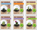 Cacti Tiny Terrariums Bundle - 1 each of 6 Varieties — product image 1