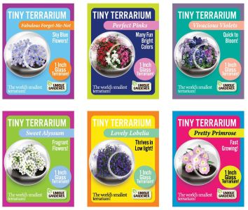 Flowering Tiny Terrariums Bundle - 1 each of 6 Varieties — product image 1