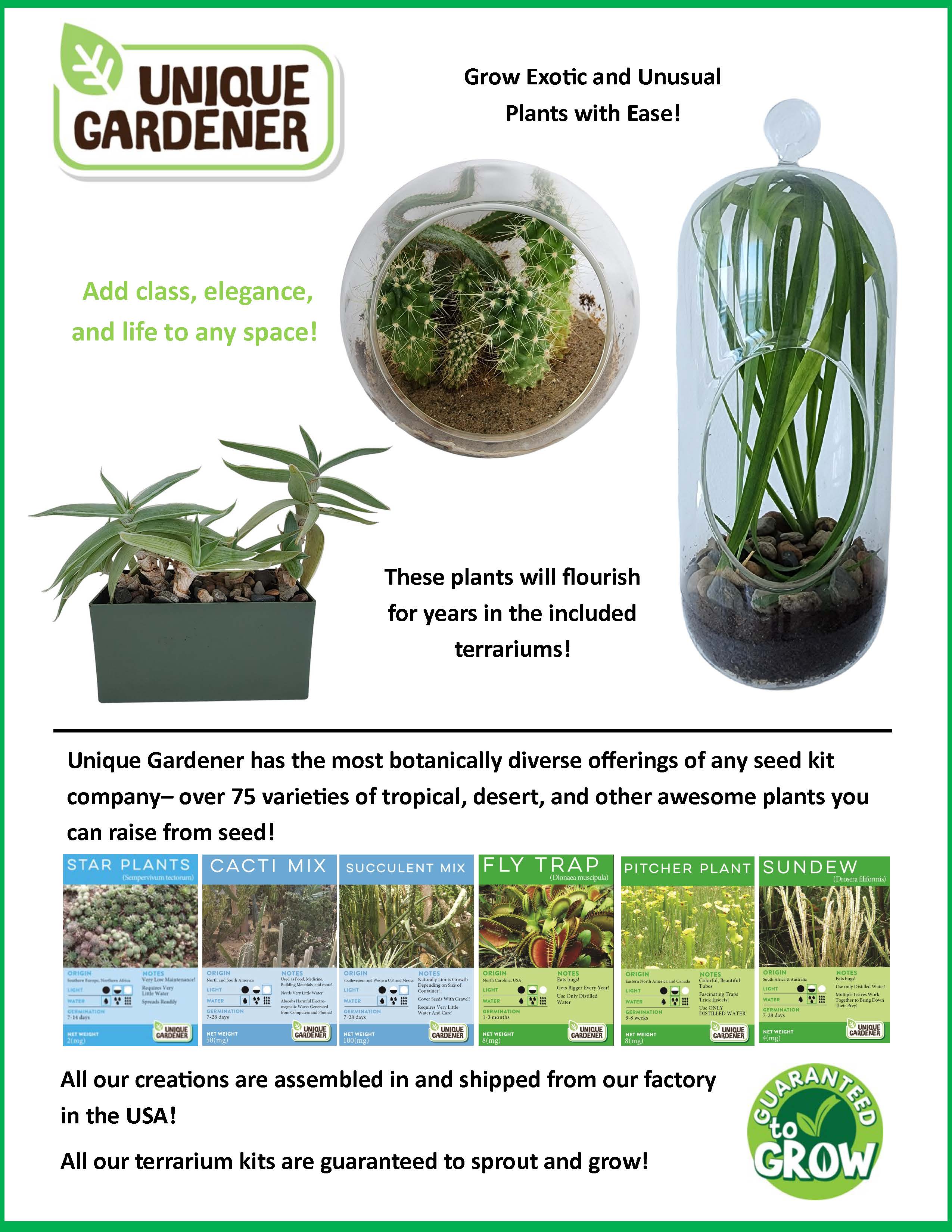 Aloe Seed Square Terrarium product image 9