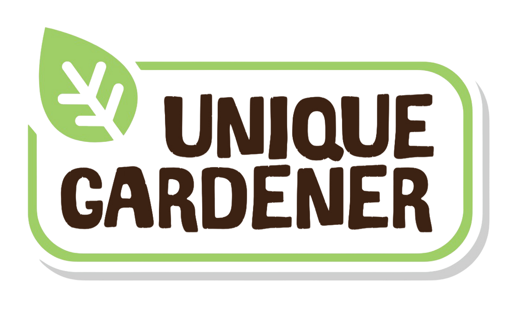 Grow Your Own Peanuts Sprouter Terrarium product image 3