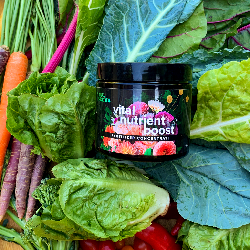Vital Nutrient Boost product image 4
