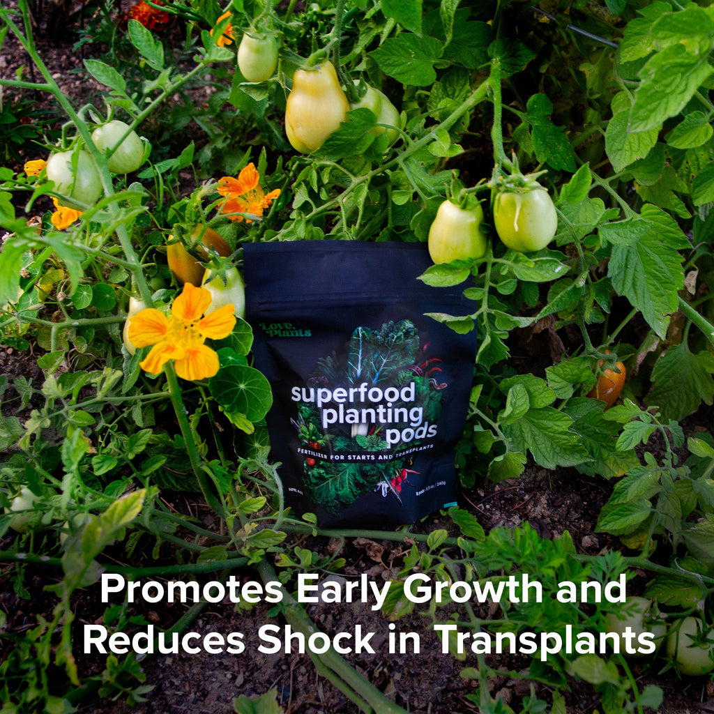 Plant Superfood Pods product image 2