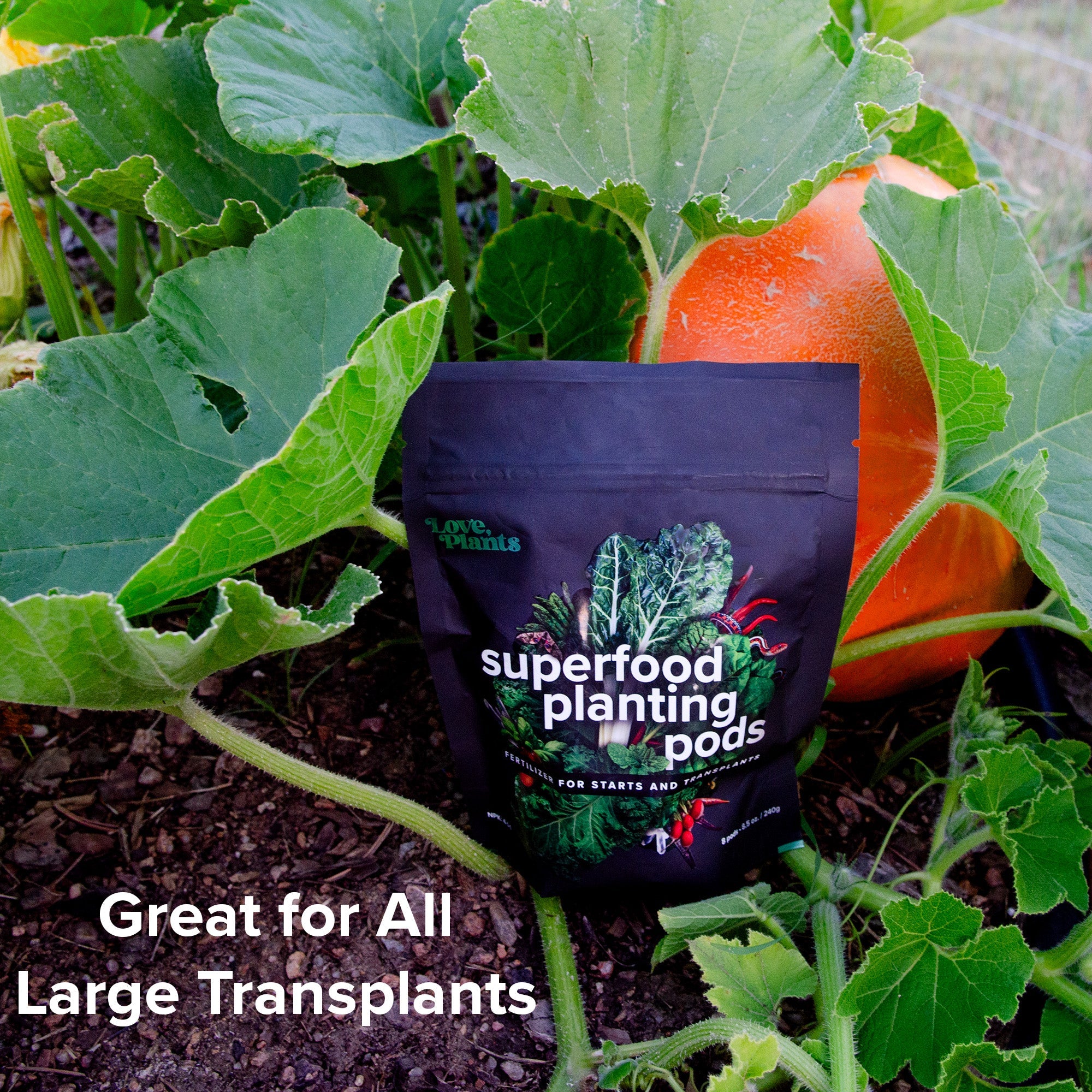 Plant Superfood Pods product image 3