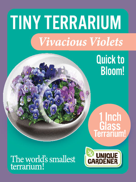 Flowering Tiny Terrariums Bundle - 1 each of 6 Varieties — product image 7