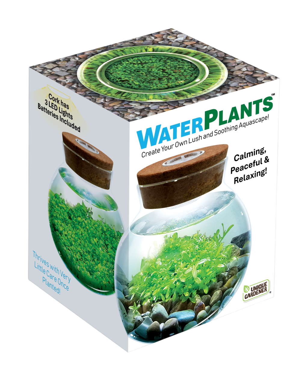 WaterPlants- Grow Lush Aquatic Plants from Seed! Thrives With Minimal Care — product image 1