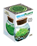 WaterPlants- Grow Lush Aquatic Plants from Seed! Thrives With Minimal Care — product image 1
