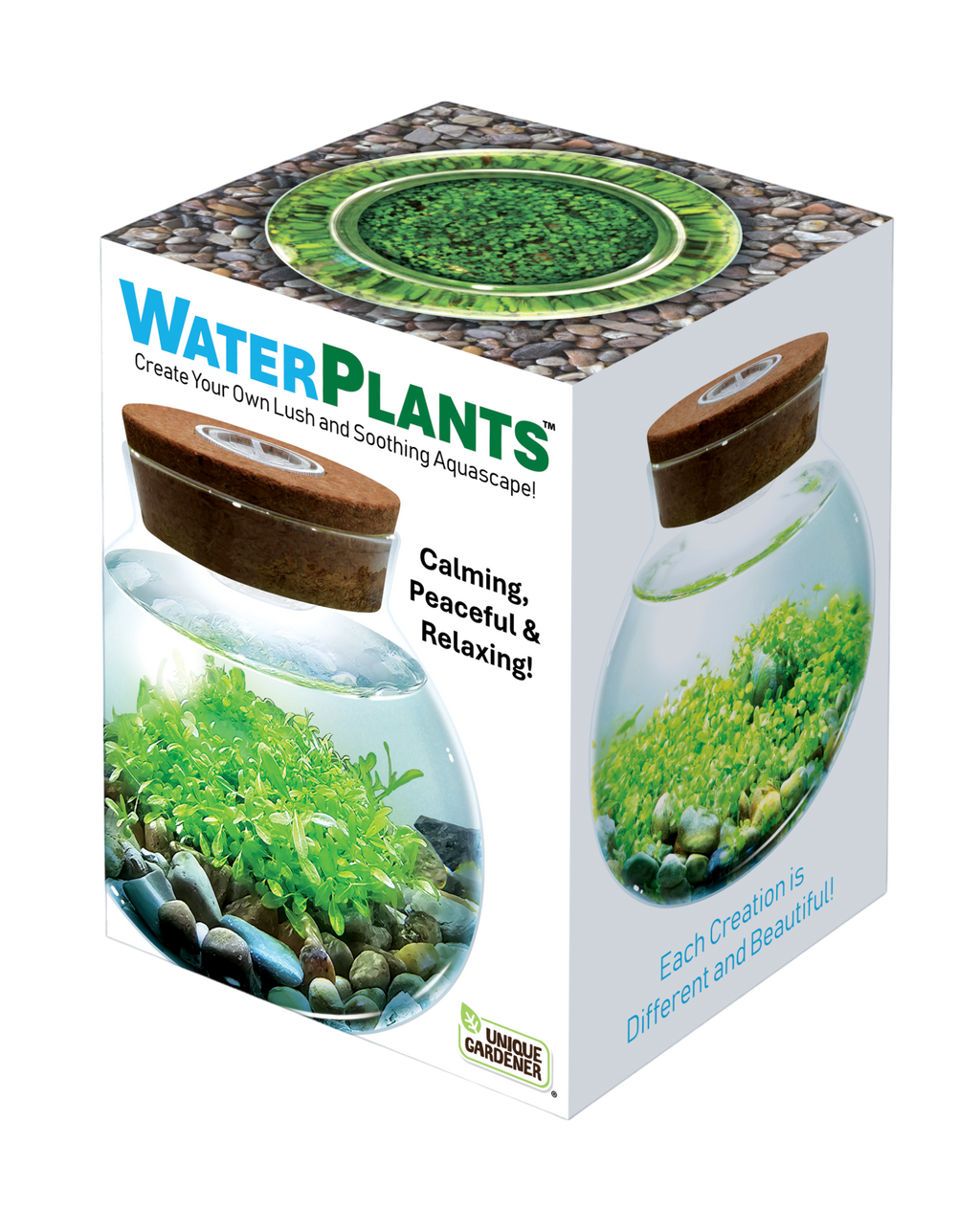 WaterPlants- Grow Lush Aquatic Plants from Seed! Thrives With Minimal Care — product image 3