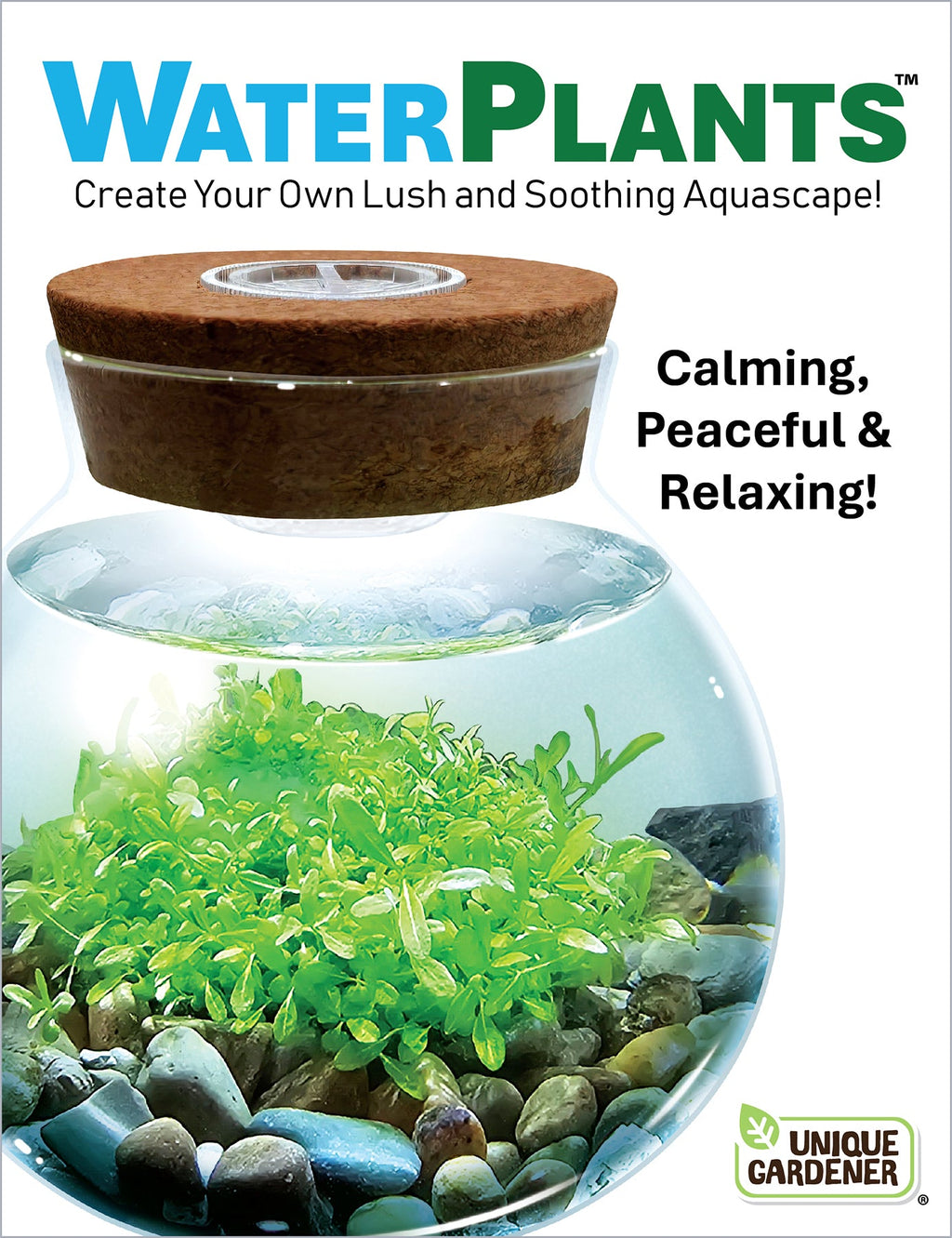 WaterPlants- Grow Lush Aquatic Plants from Seed! Thrives With Minimal Care — product image 4