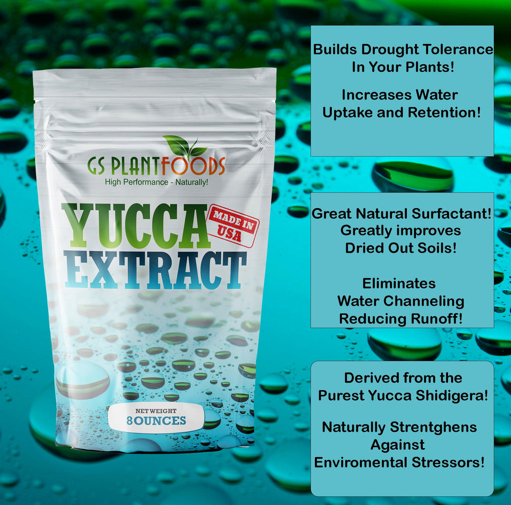 Organic Yucca Extract for Plants & Soil | GS Plant Foods product image 3