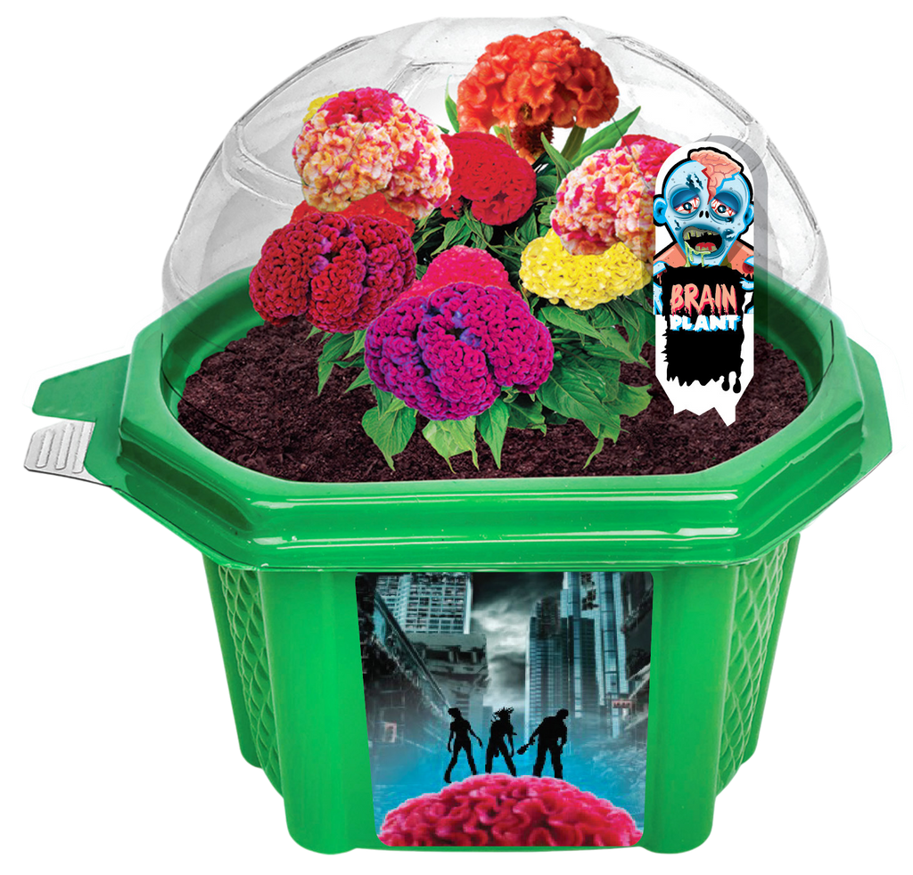 Zombie Brains Themed Micro Dome Terrarium product image 2