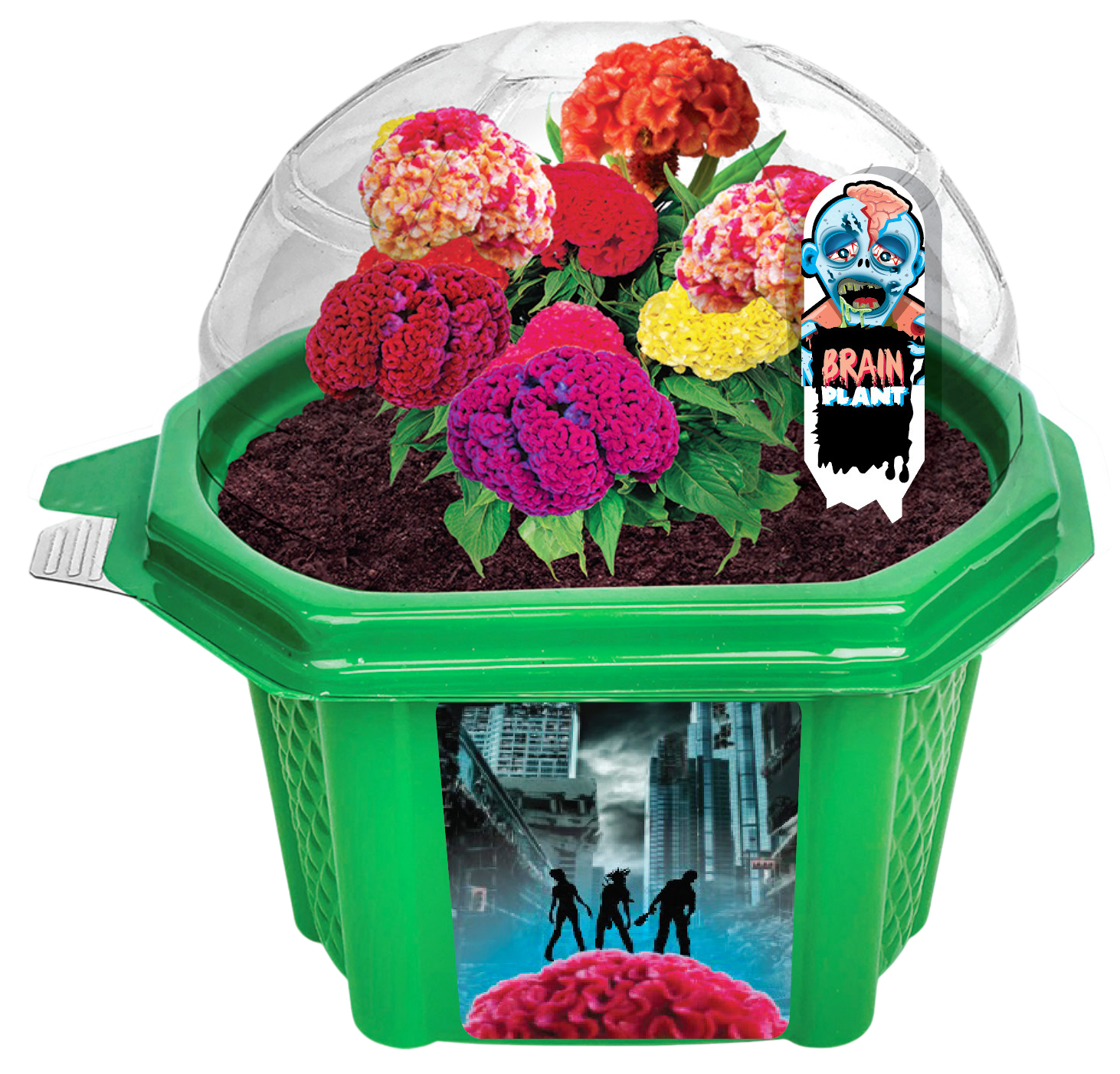 Zombie Brains Themed Micro Dome Terrarium product image 2