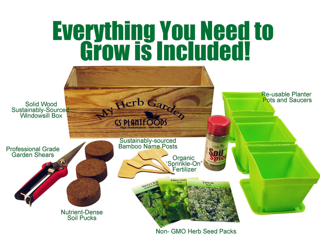 Herb Window Garden Gift Set- Complete windowsill herb garden growing kit product image 4