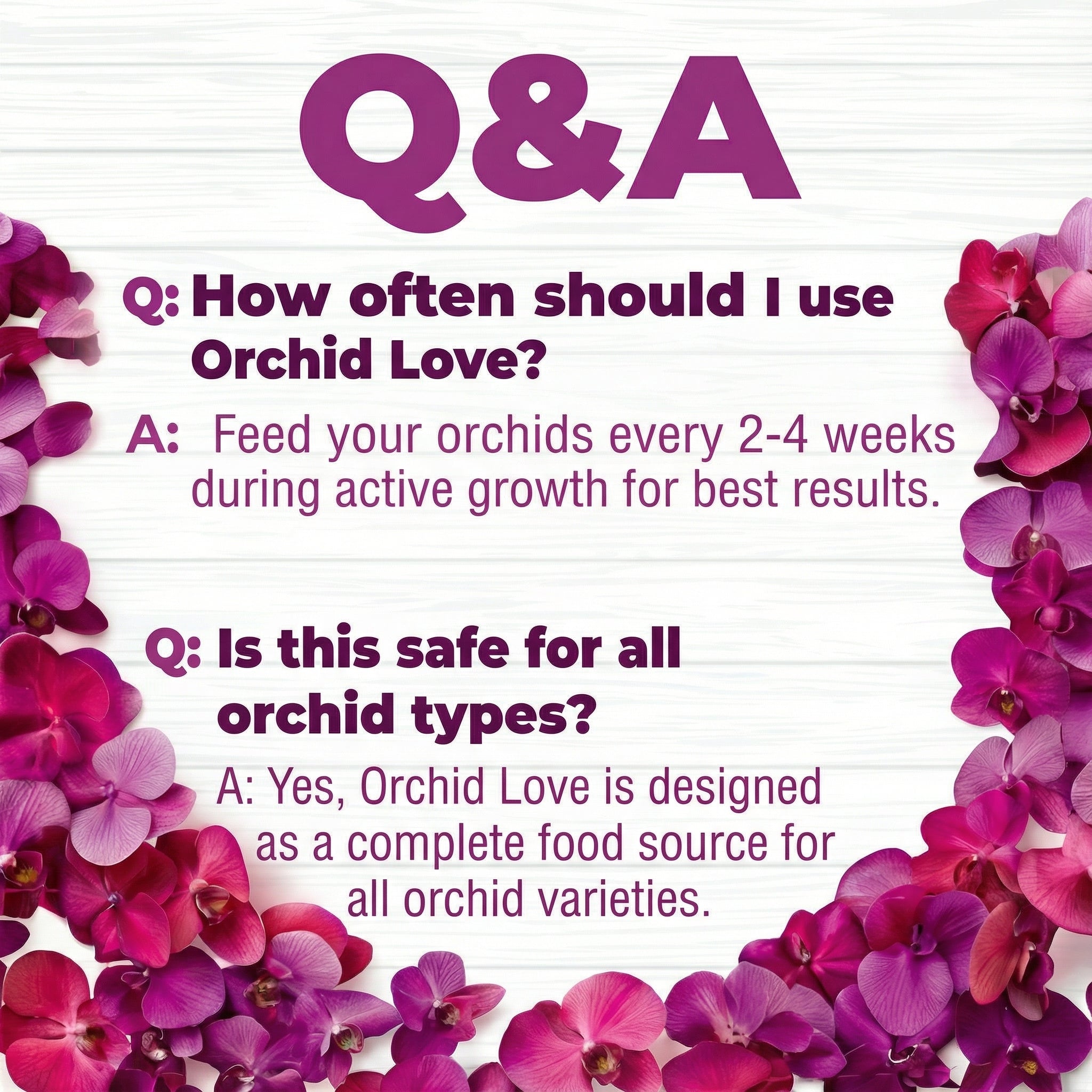 Orchid Love- The World's Greatest Orchid Food! product image 11