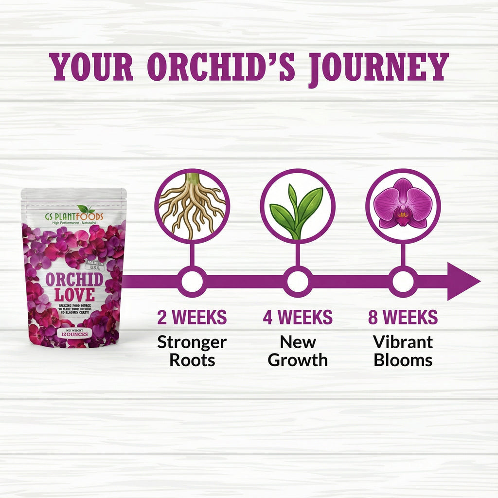 Orchid Love- The World's Greatest Orchid Food! product image 12