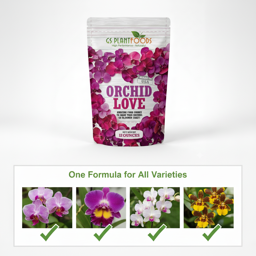 Orchid Love- The World's Greatest Orchid Food! product image 15