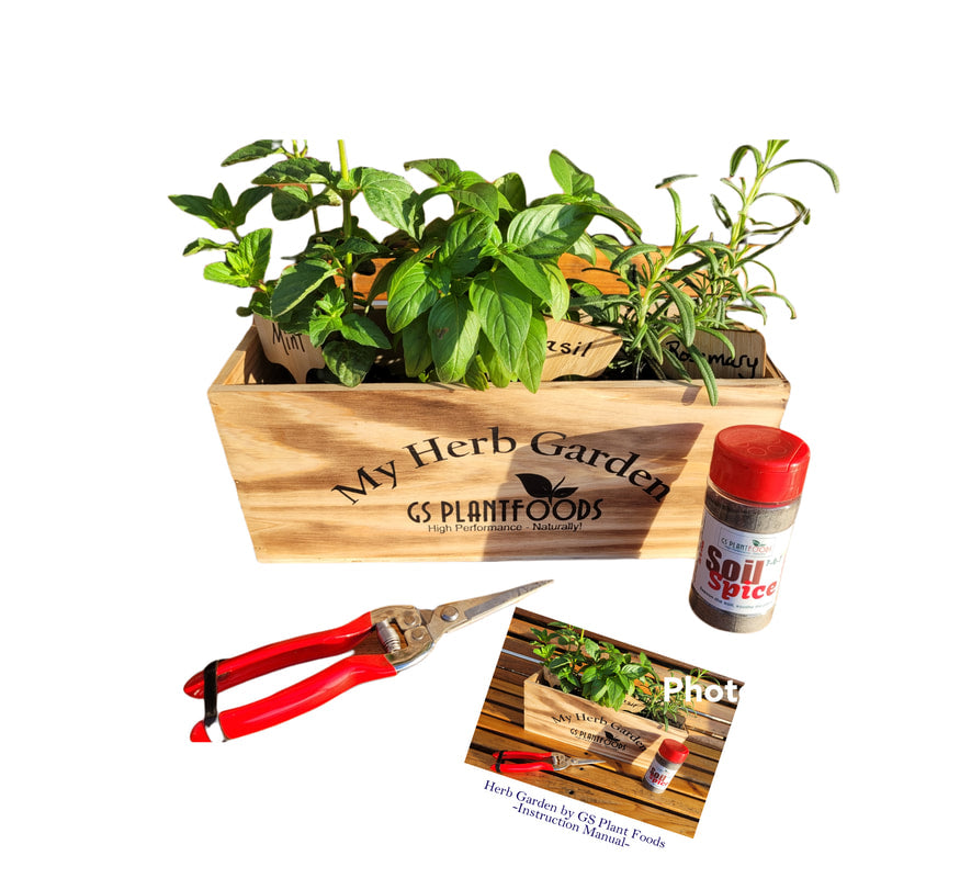 Herb Window Garden Gift Set- Complete windowsill herb garden growing kit product image 6