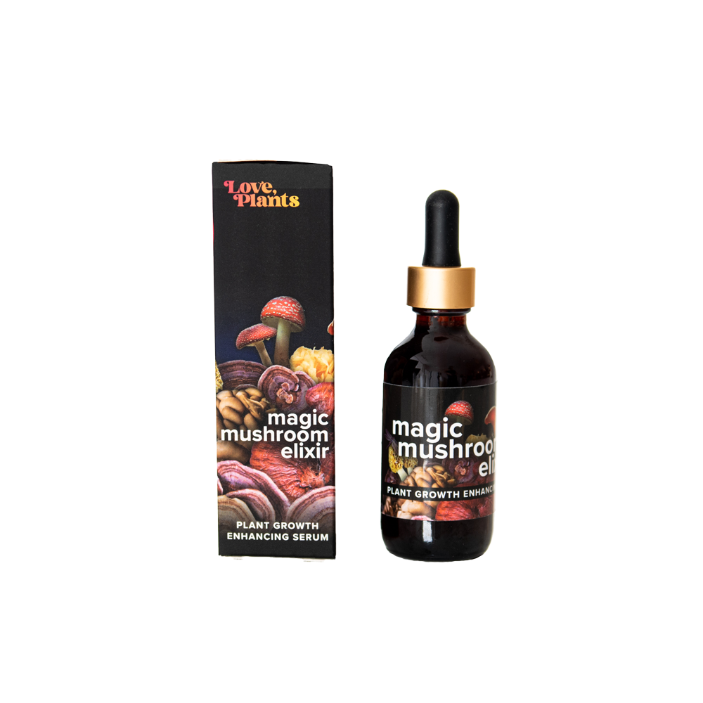 Magic Mushroom Elixir product image 1