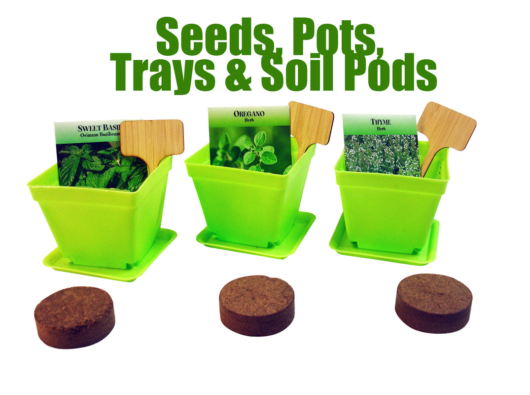 Herb Window Garden Gift Set- Complete windowsill herb garden growing kit product image 8