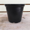 Black 4-inch plastic growing pot viewed from the side