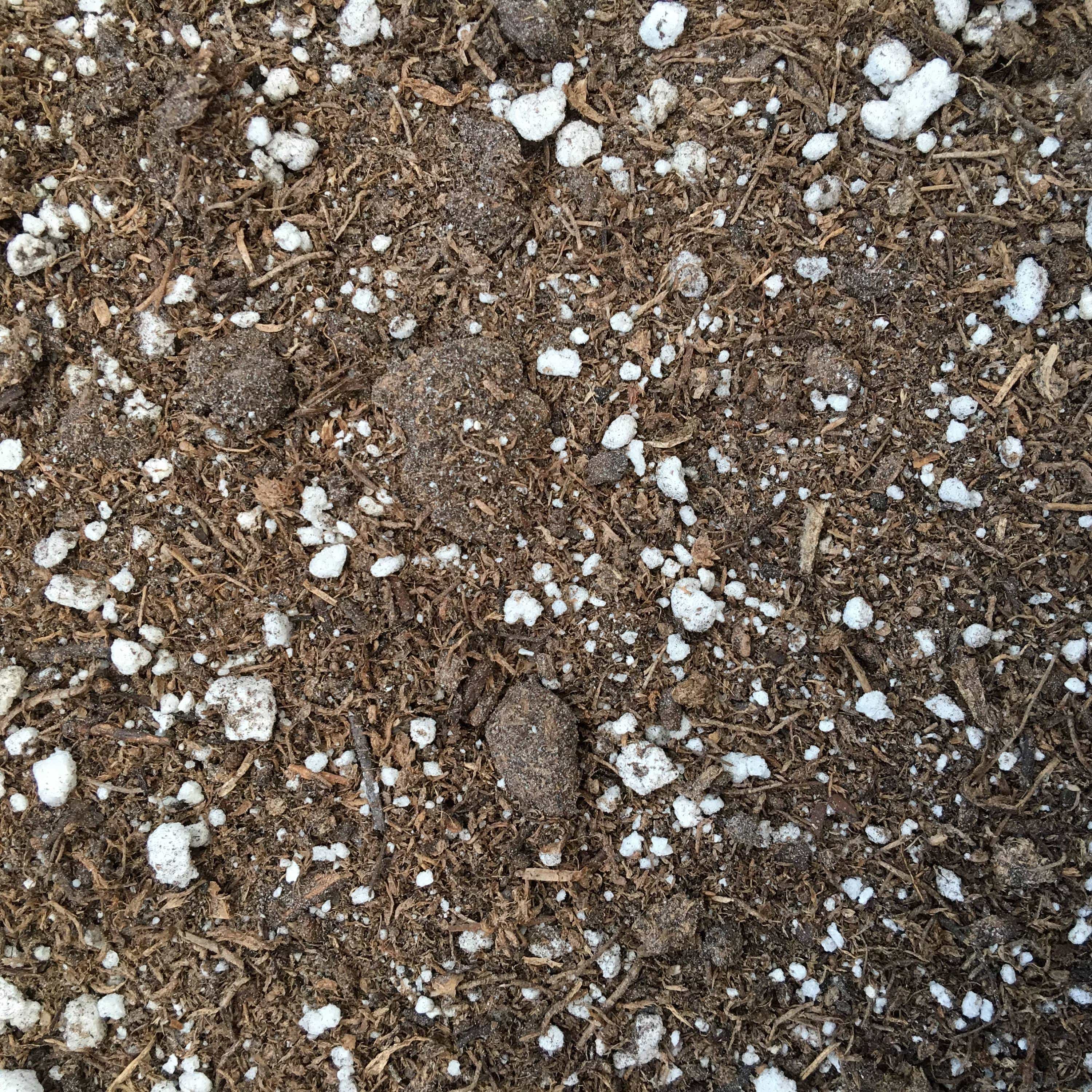 Close-up of potting mix with white perlite pieces