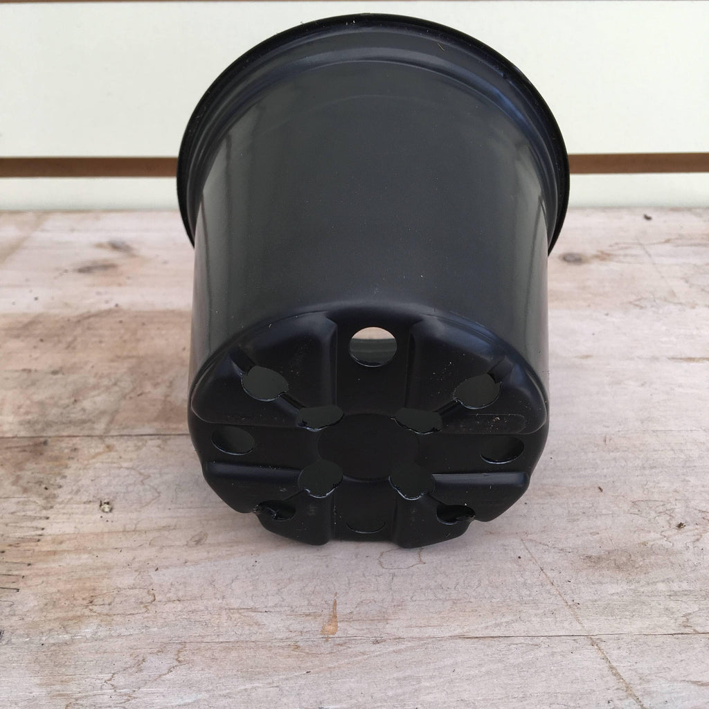 Starter Kit for 2 Large Plant Plugs, 4-inch Pots product image 2