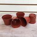 Starter Kit for 5 Small Plant Plugs product image 1