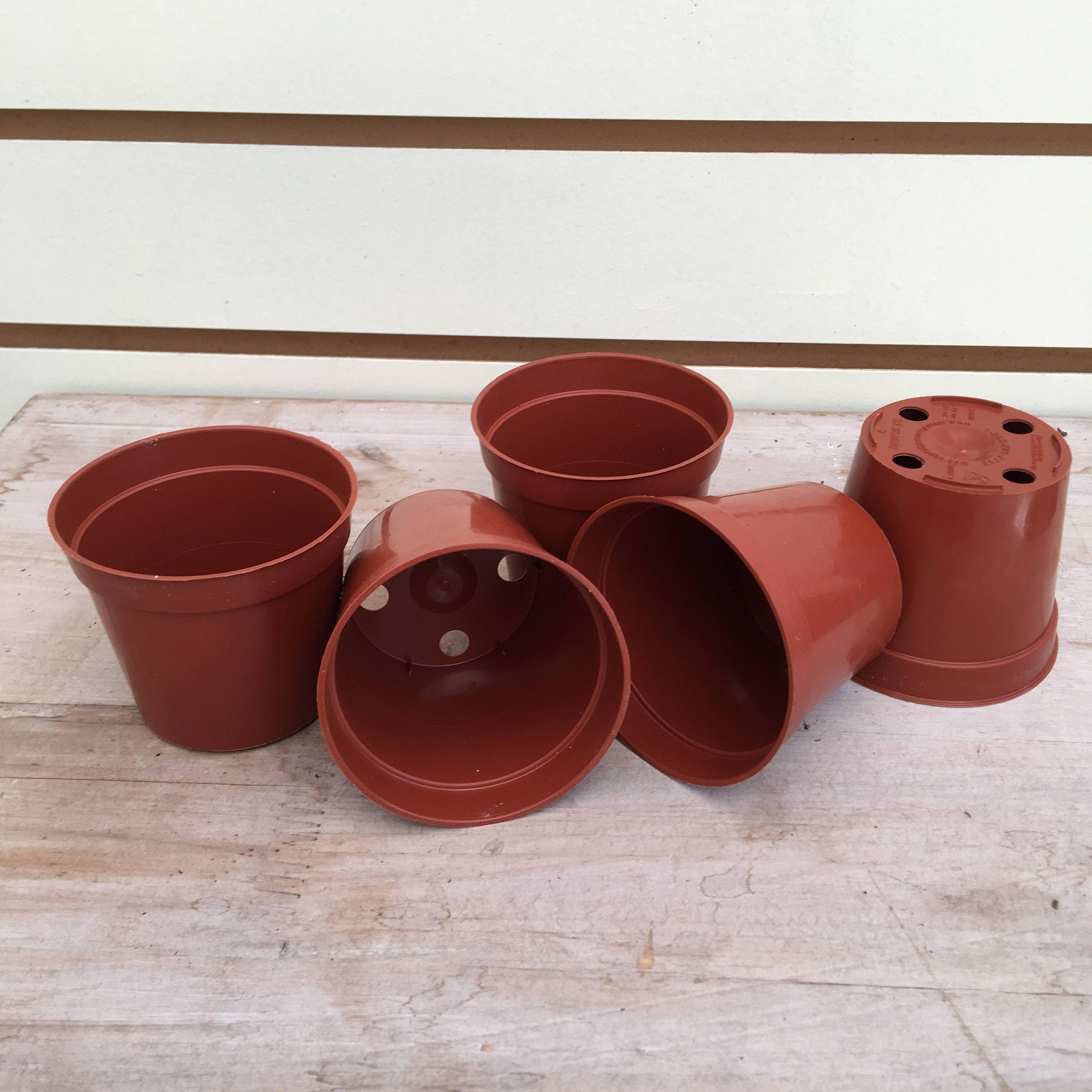 Starter Kit for 5 Small Plant Plugs product image 1