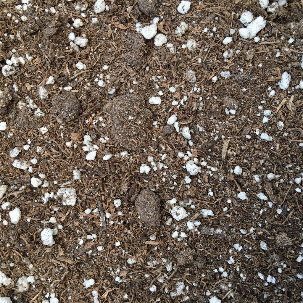 Starter Kit for 5 Small Plant Plugs product image 2